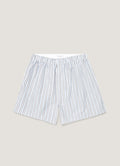 Blue Stripe