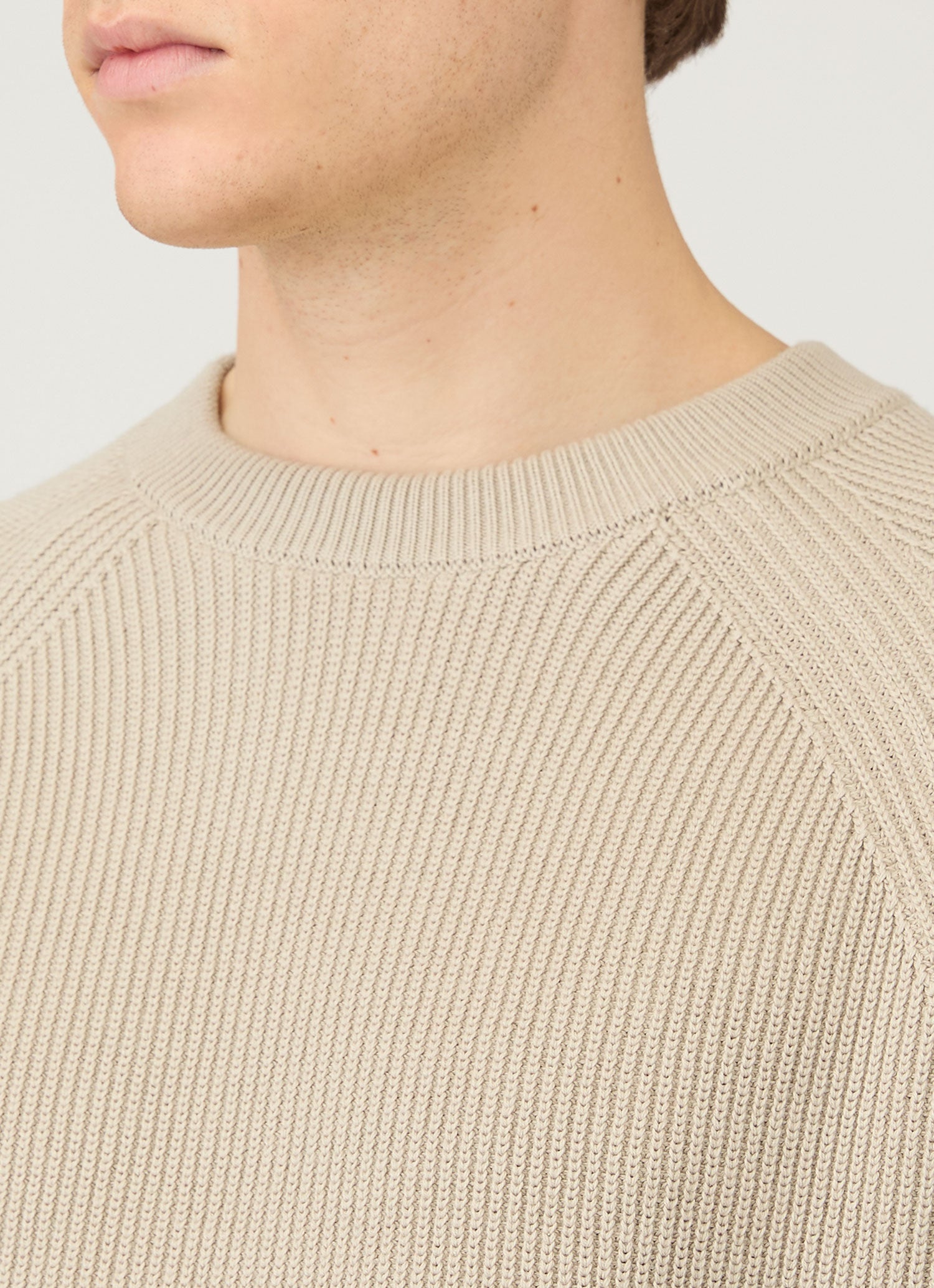 Men's Ribbed Jumper in Mink