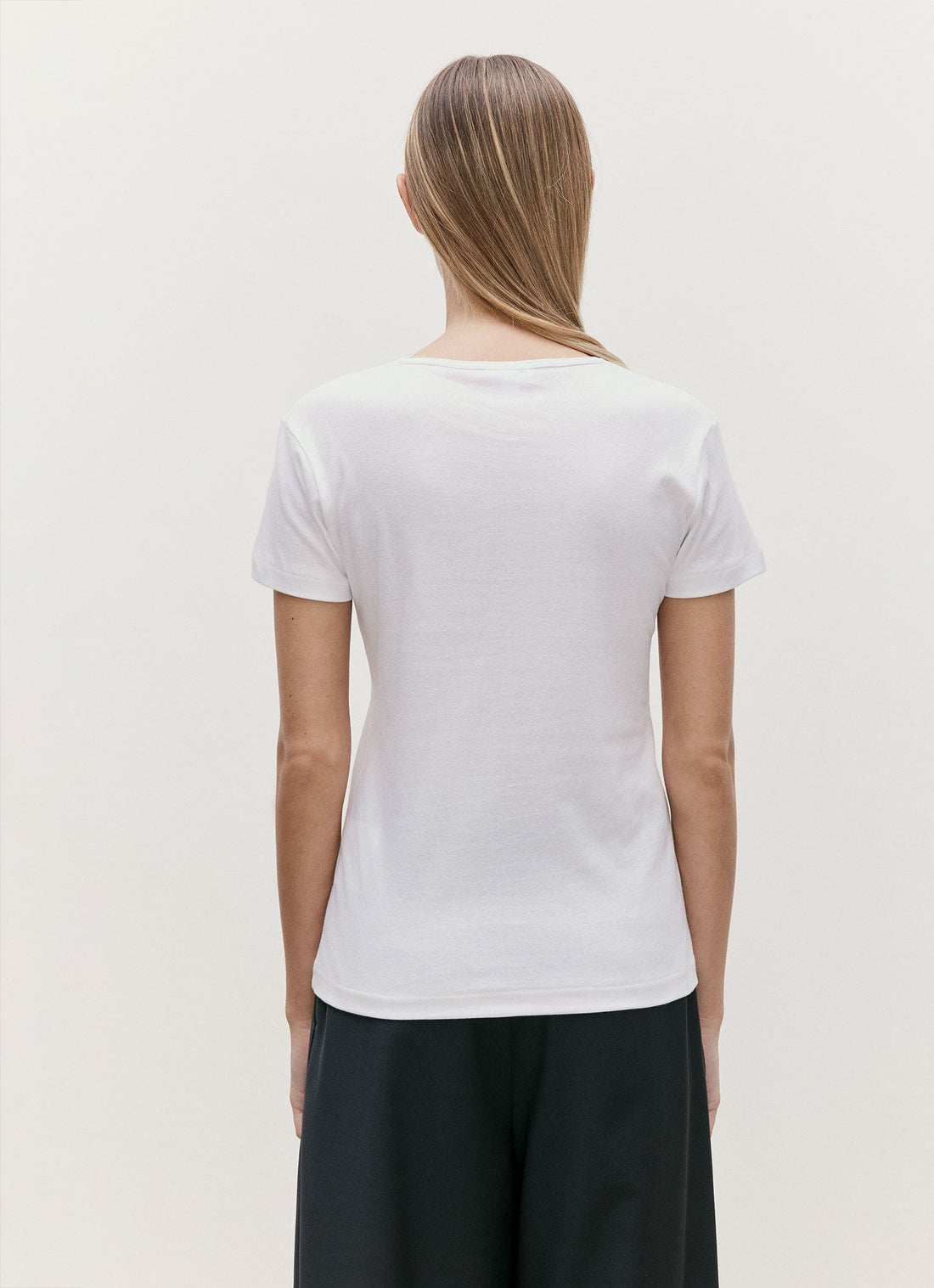 シーアイランド コットン Tシャツ