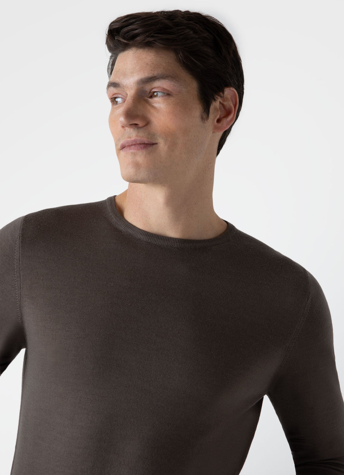 Men's Extra-Fine Merino Crew Neck in Cedar